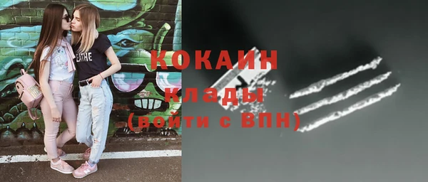 кокс Пестово