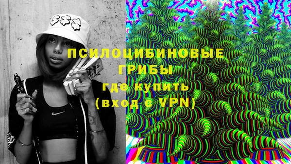 прущая мука Пересвет