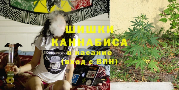 прущая мука Пересвет