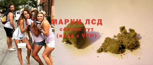 прущая мука Пересвет